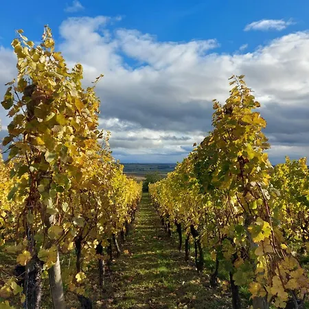 La Maison Kouglof * Nordheim